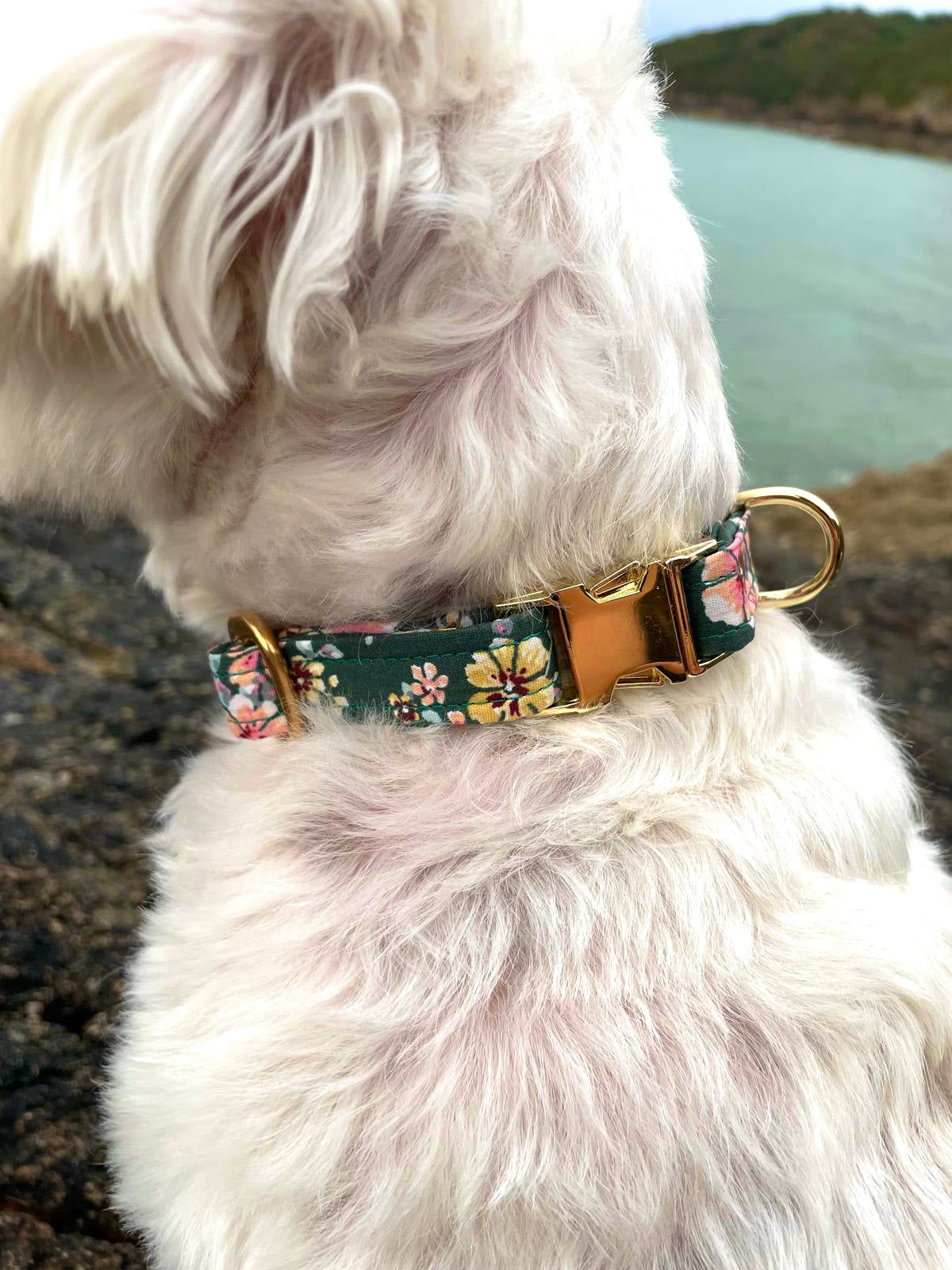 COLLIER MAYA
