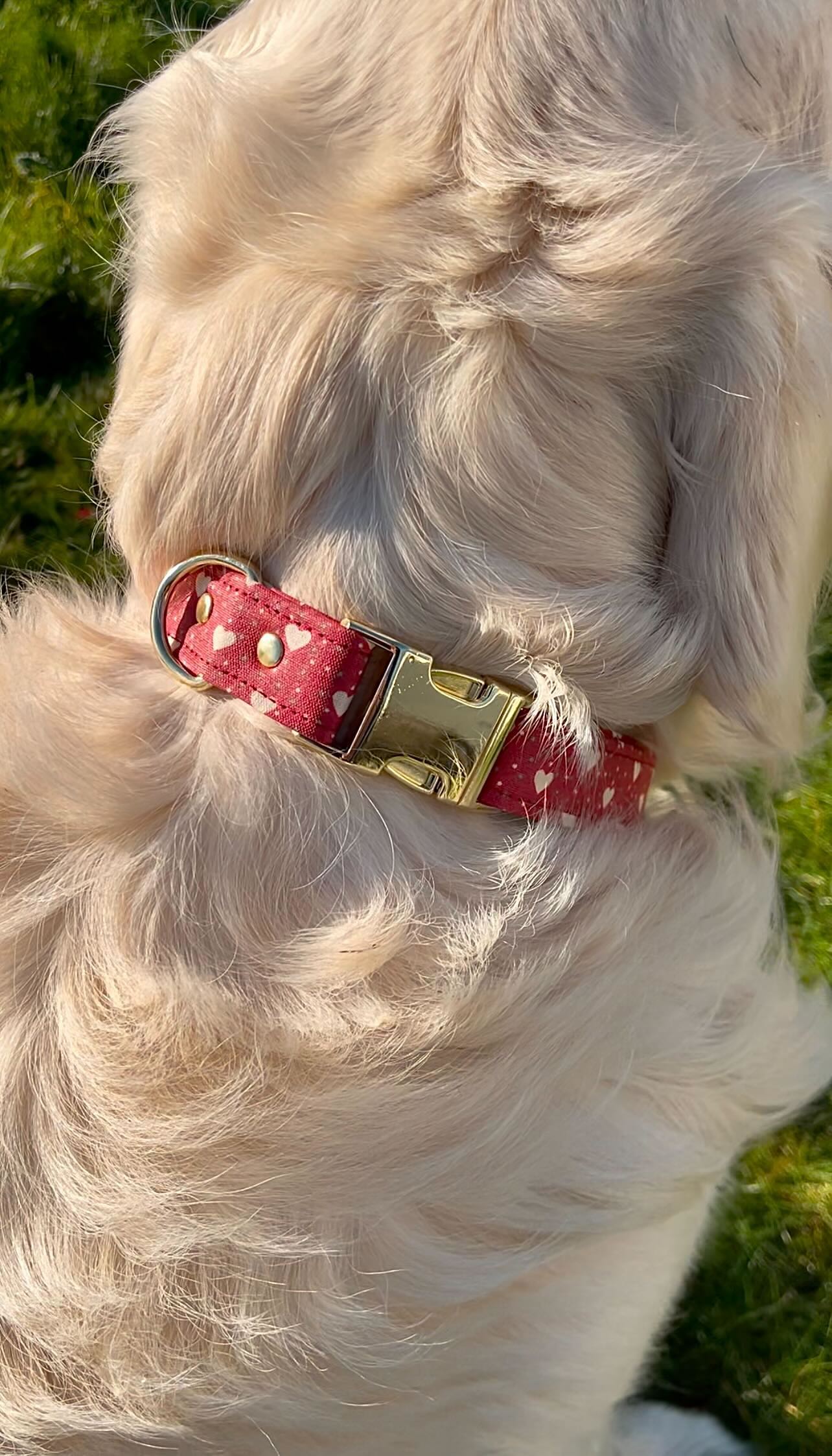 COLLIER LOVE