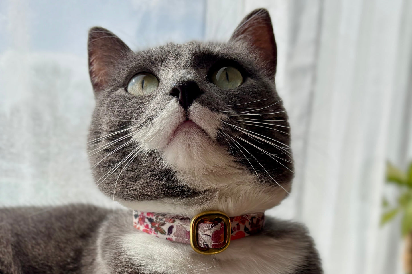 Collier CHARLIE