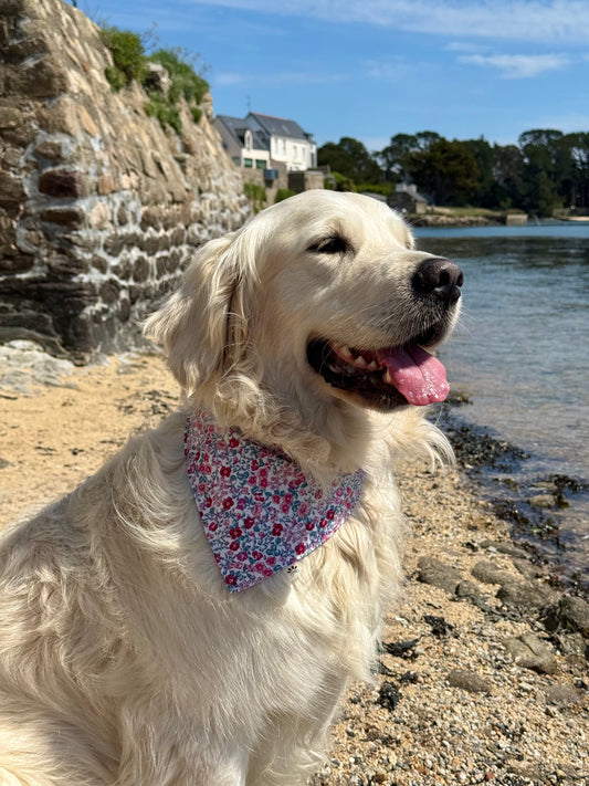 BANDANA ROSALIE