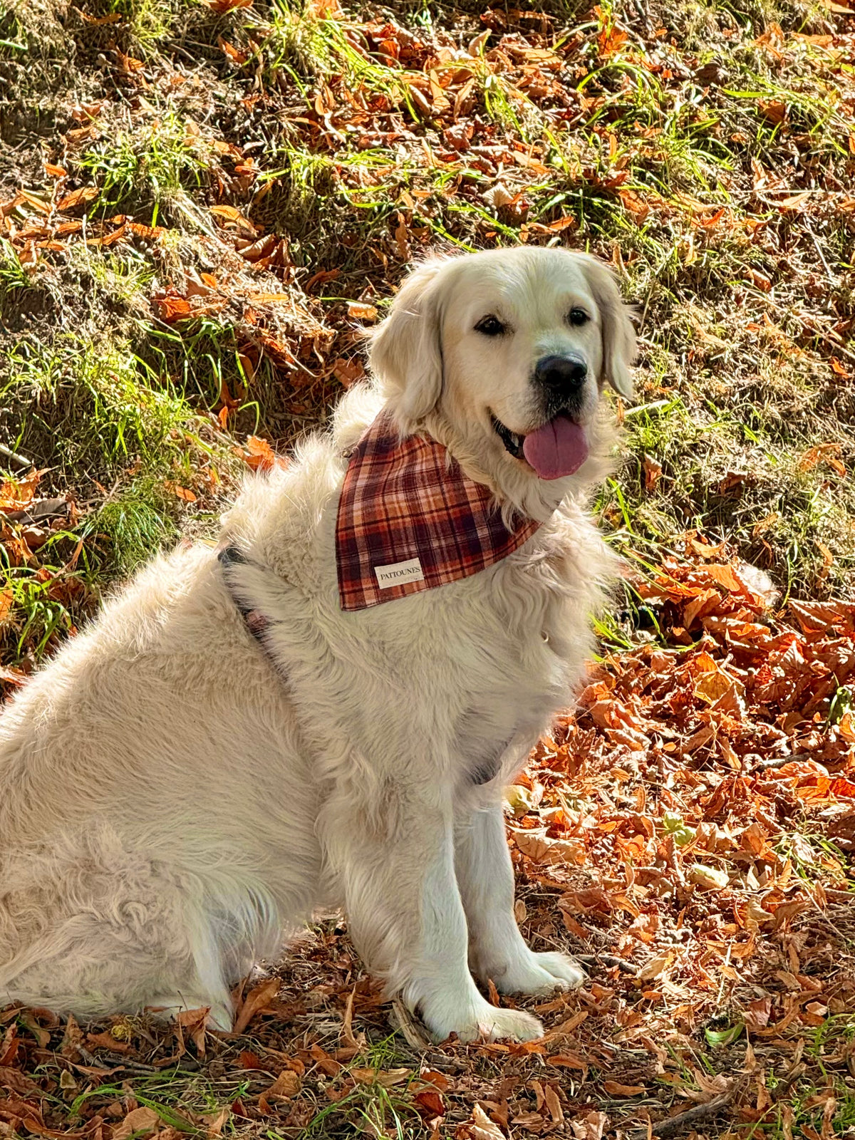 BANDANA EDIMBOURG
