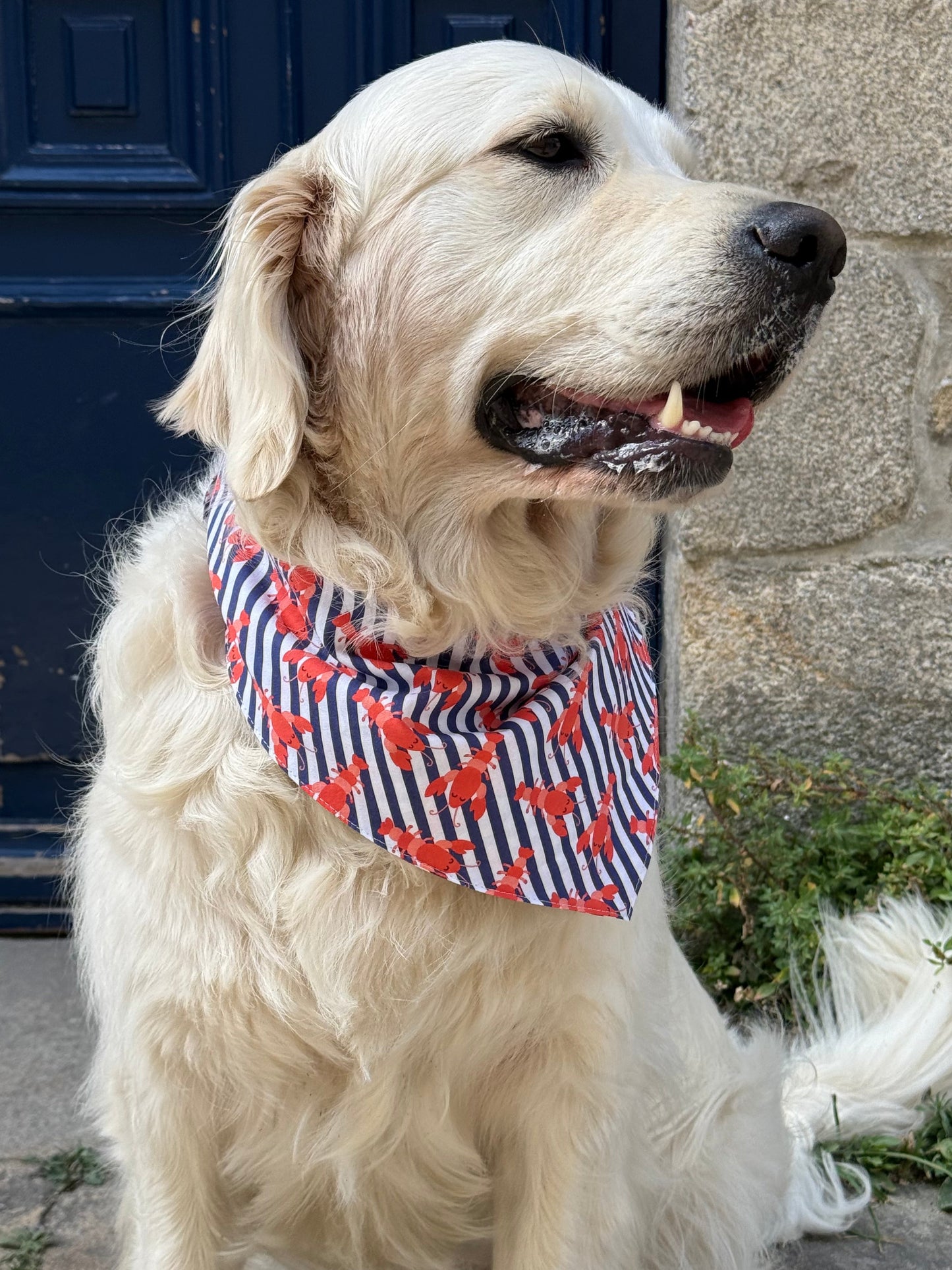 Bandana à nouer Homard Breton 🦞🌊
