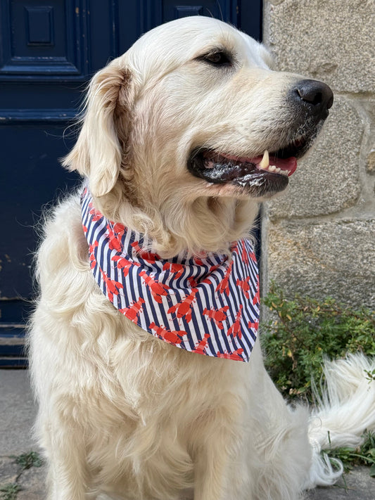 Bandana Homard Breton 🦞🌊