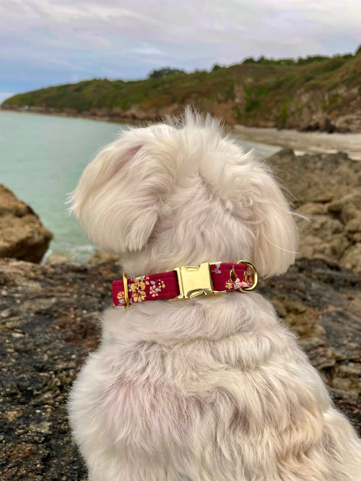 COLLIER MILO