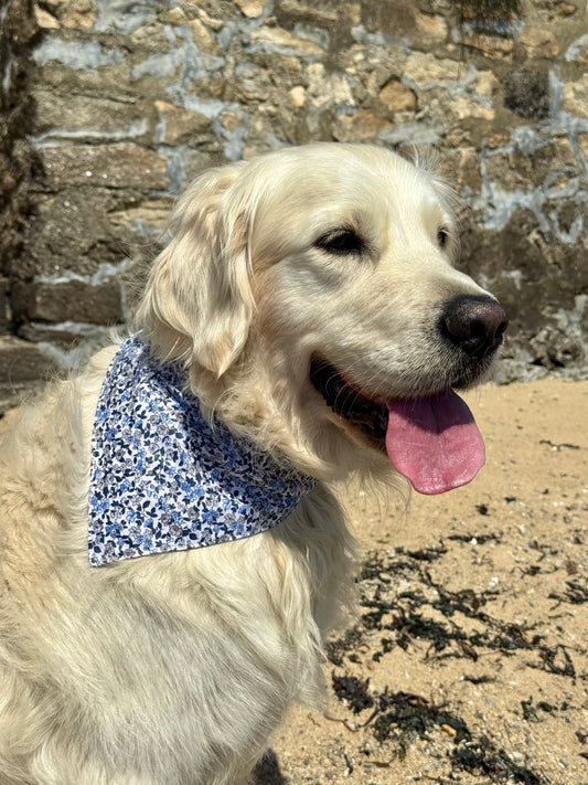 BANDANA BLEU AZUR