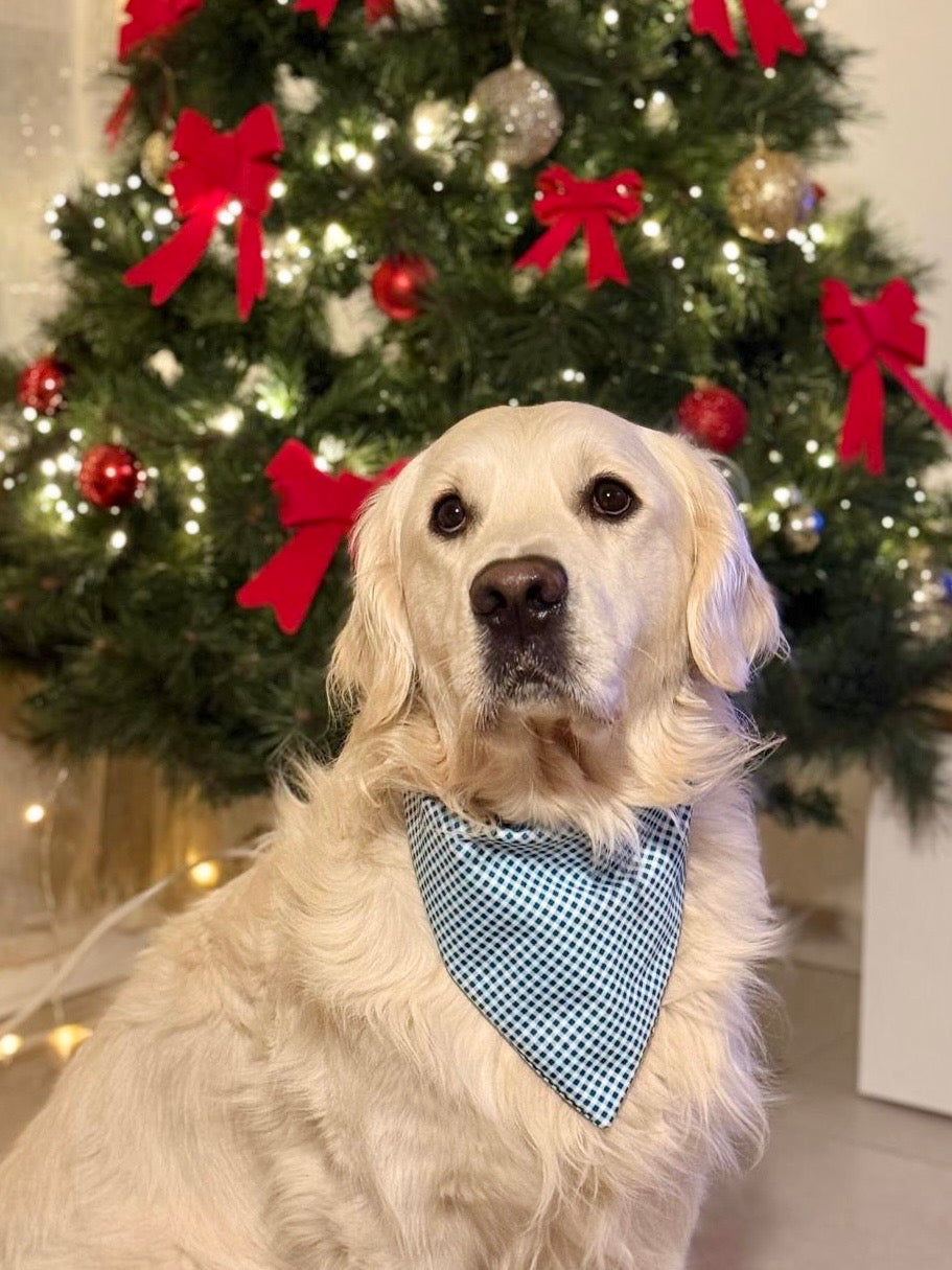 BANDANA VICHY EVERGREEN