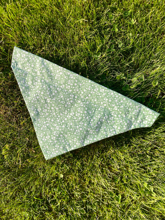 BANDANA WOOD