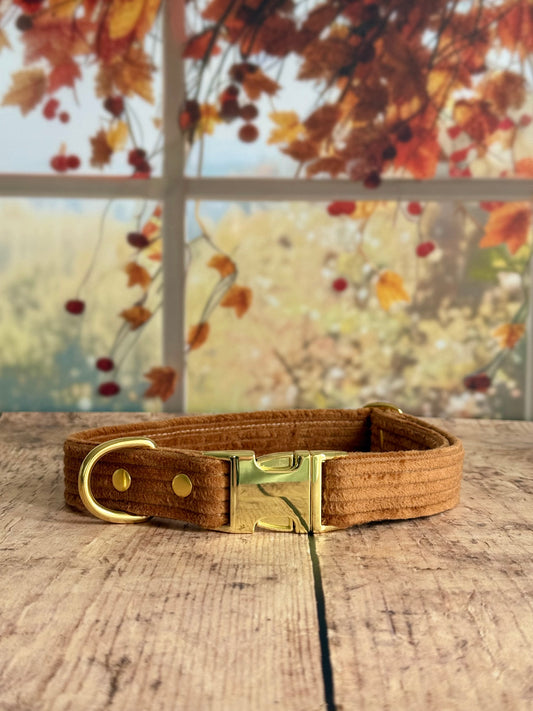 COLLIER COSY FALL