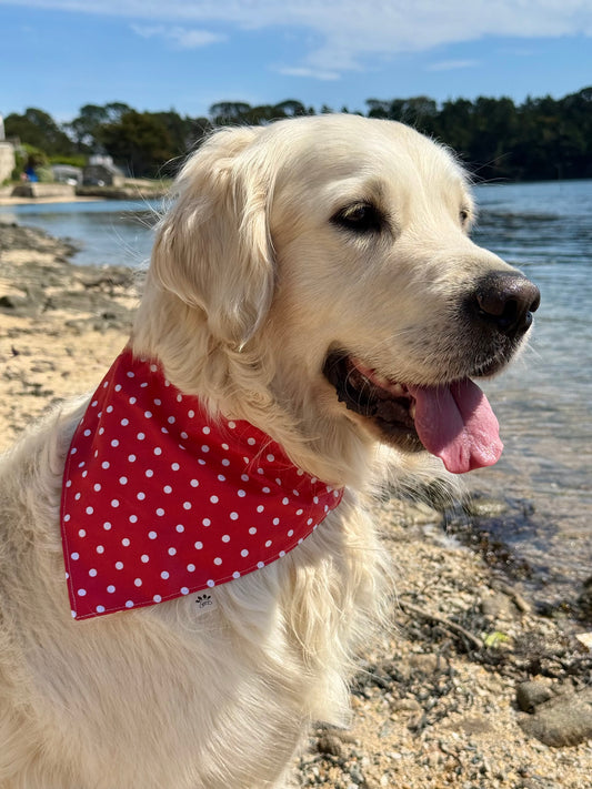 BANDANA PIN-UP