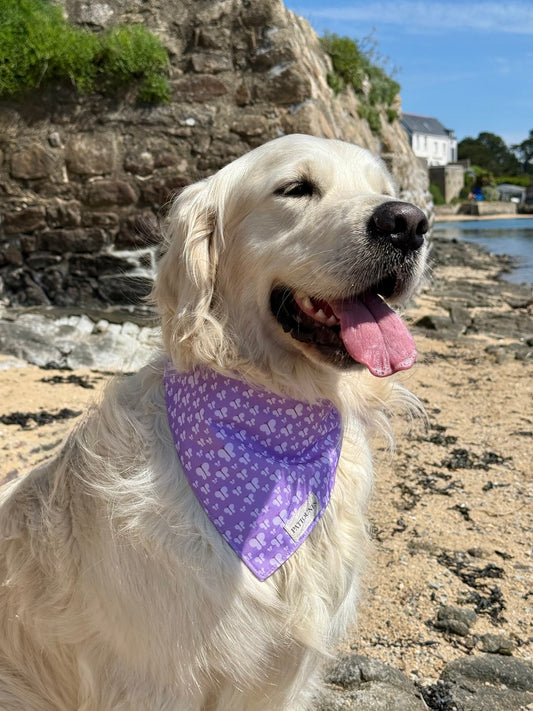 BANDANA BUTTERFLY