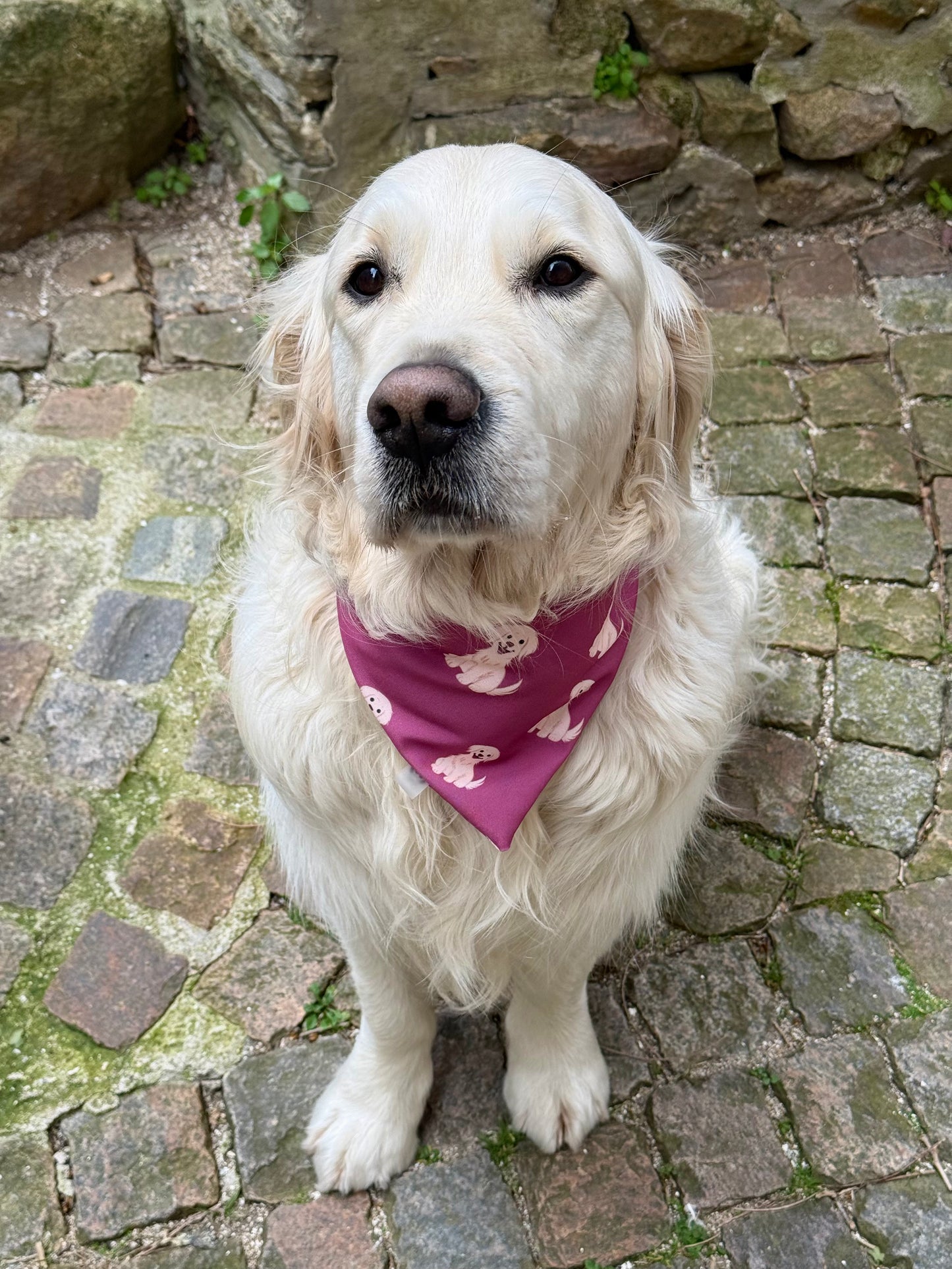 BANDANA GOLDINOU