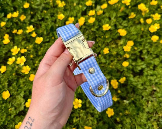 COLLIER SUNNY