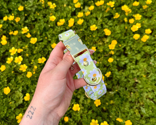 COLLIER DAISY