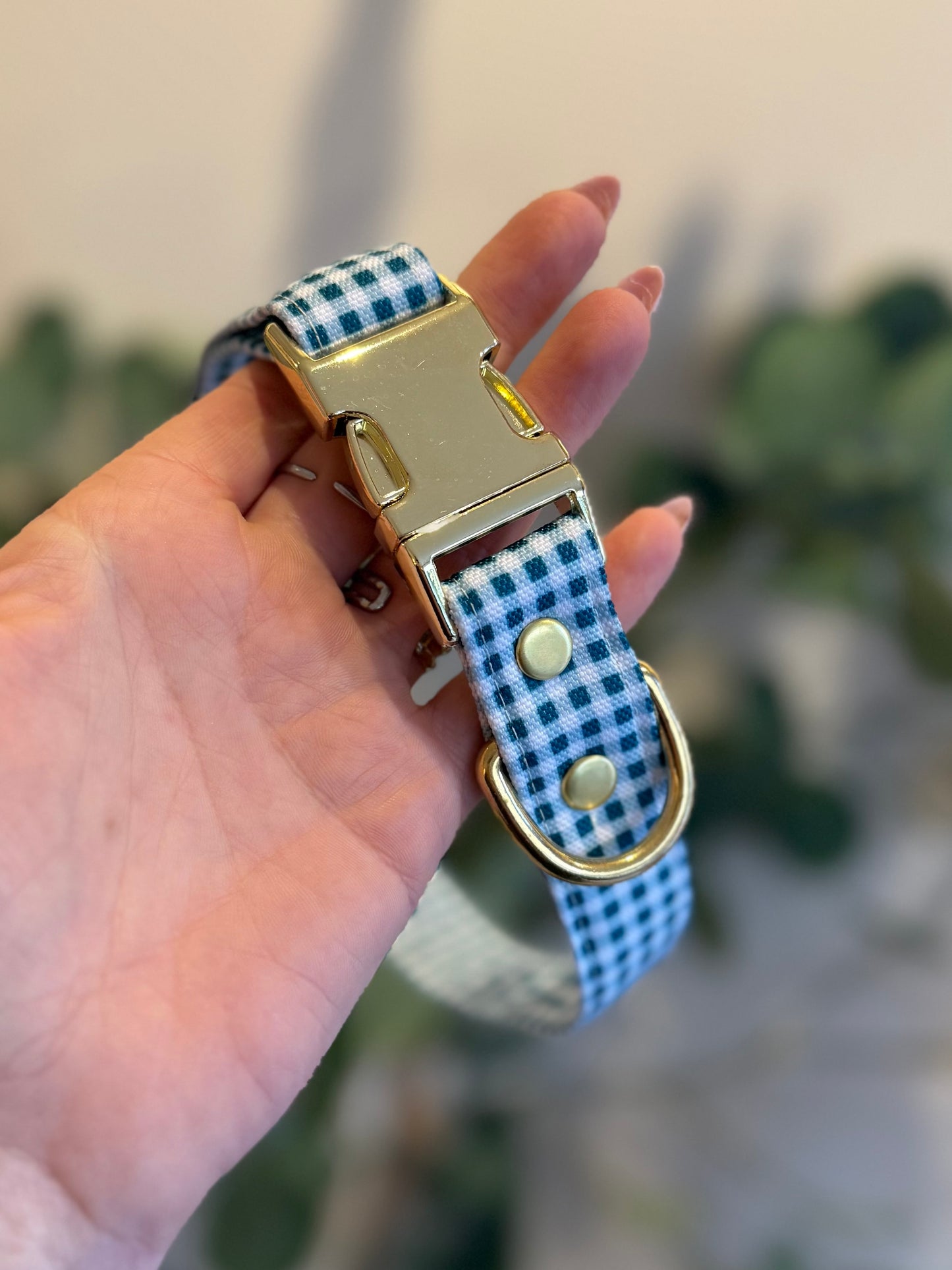 COLLIER VICHY EVERGREEN