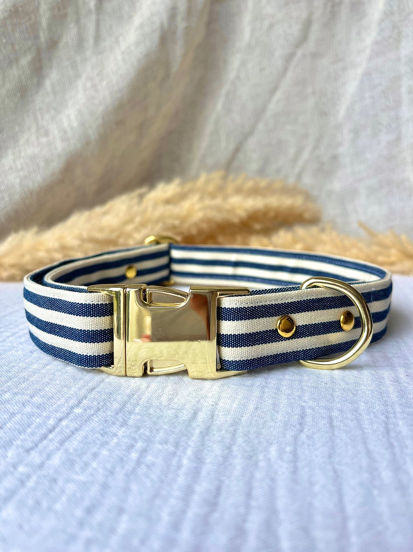 COLLIER TOUTY