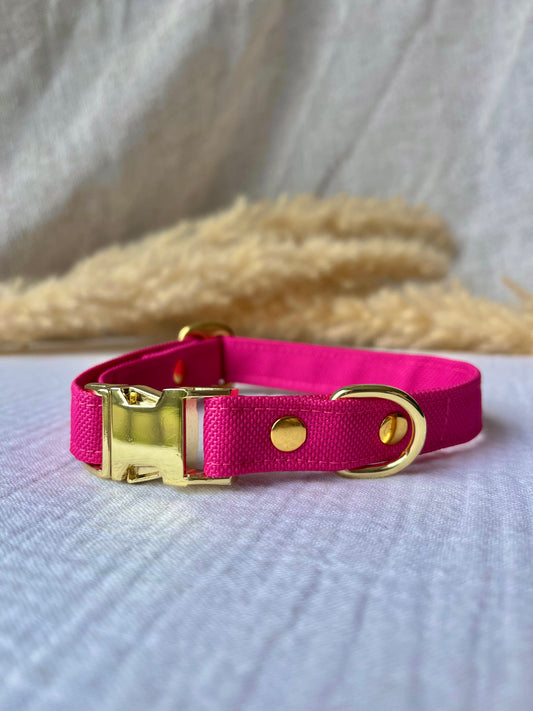 COLLIER MOLLY