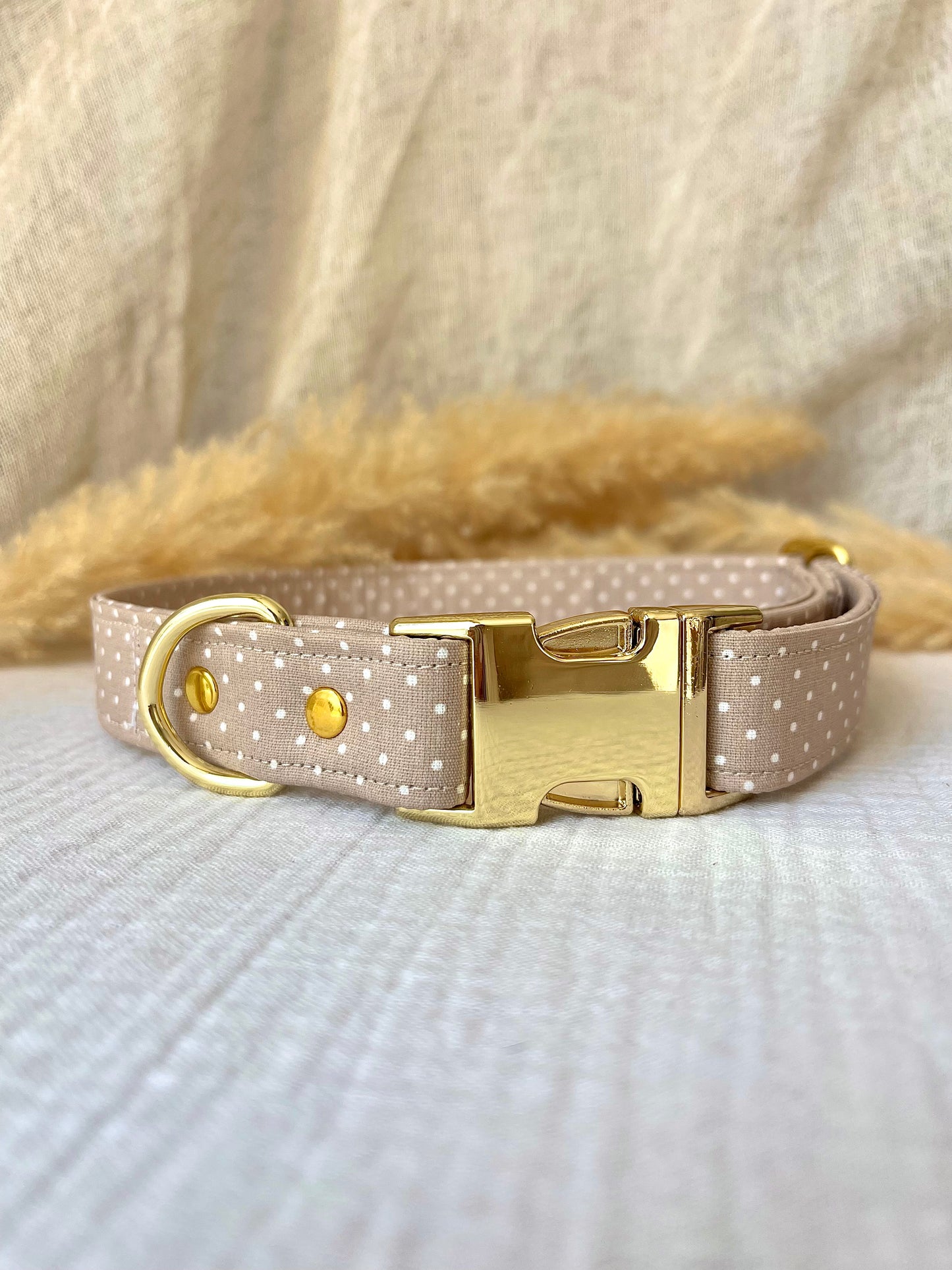 COLLIER SIGMUND