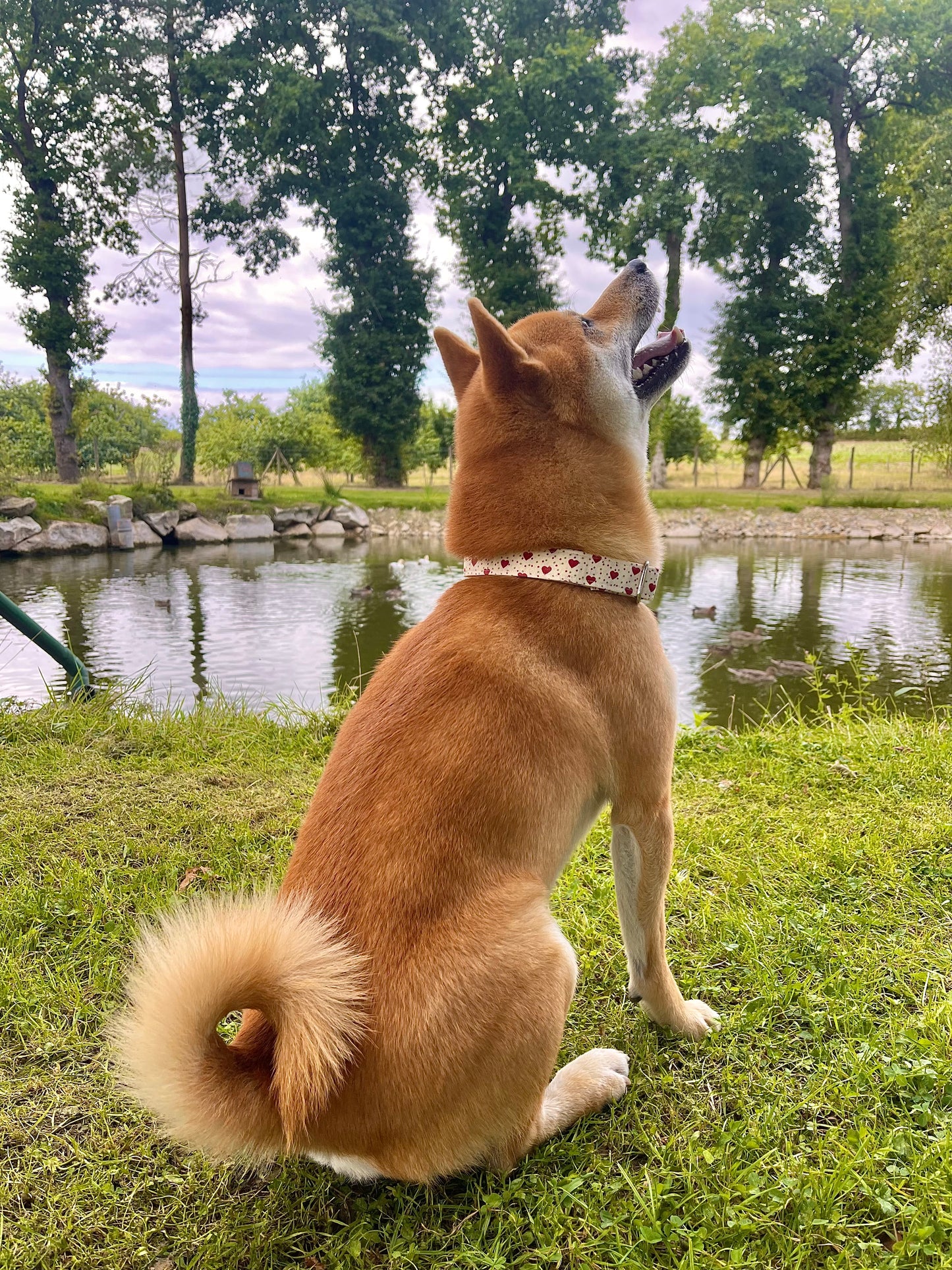 COLLIER POUPY