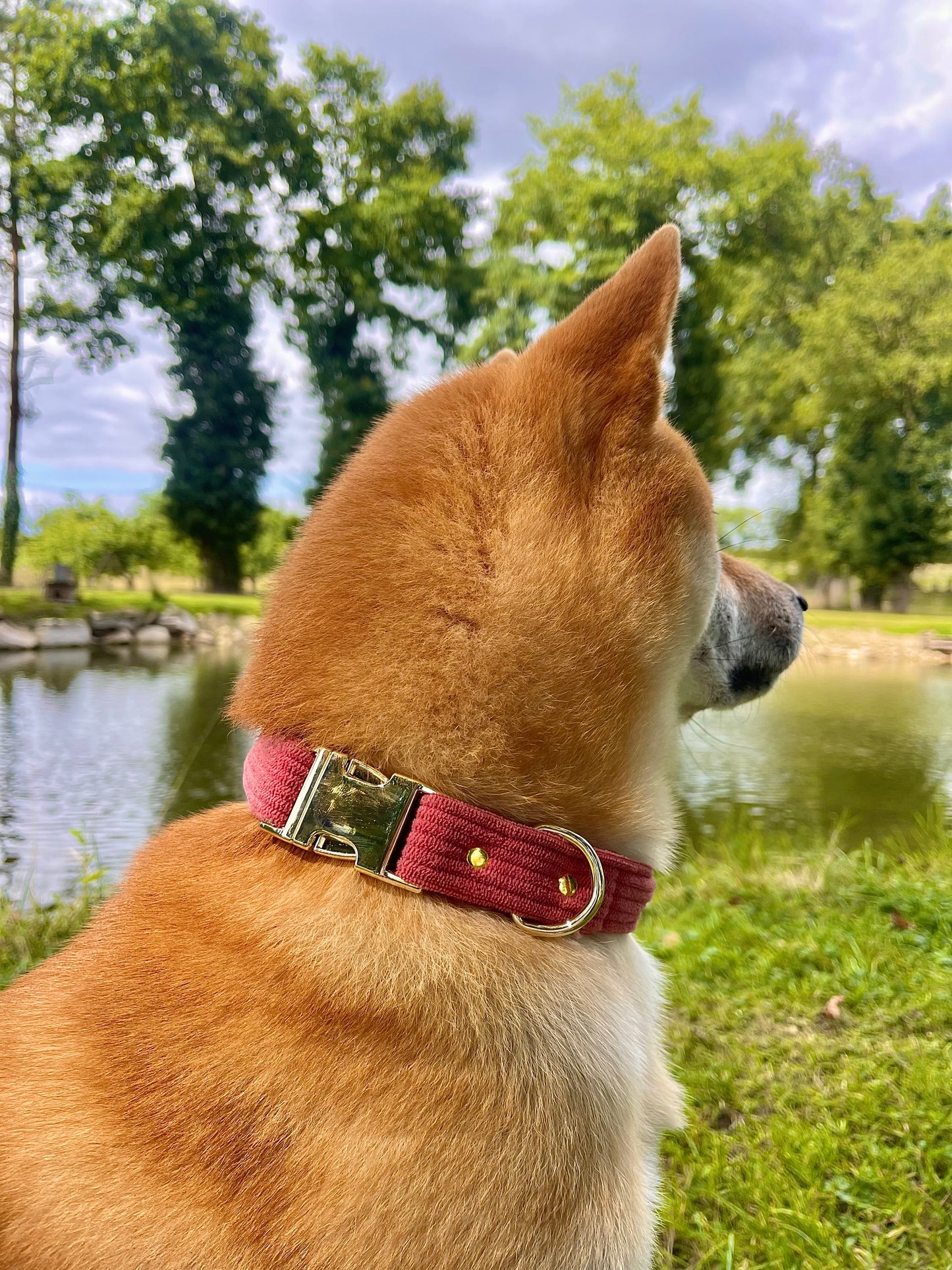 COLLIER UMY