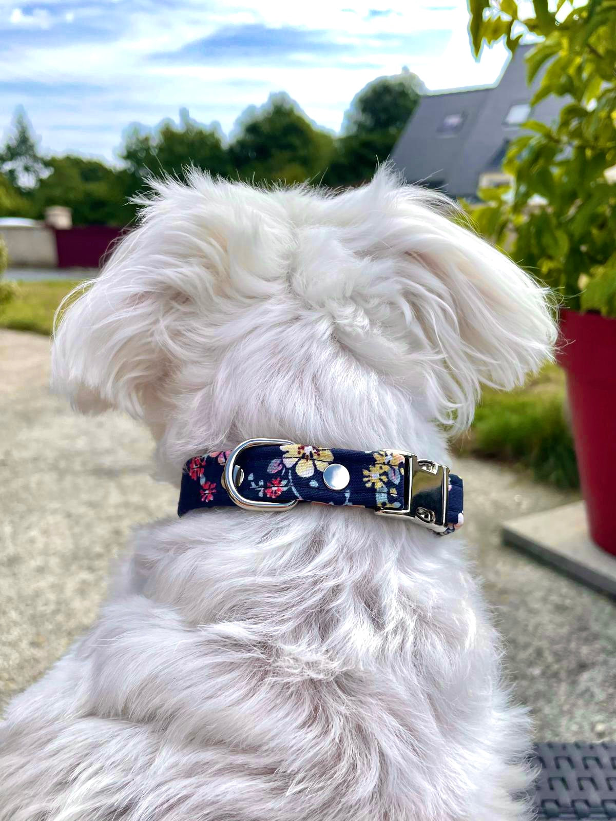 COLLIER JOY