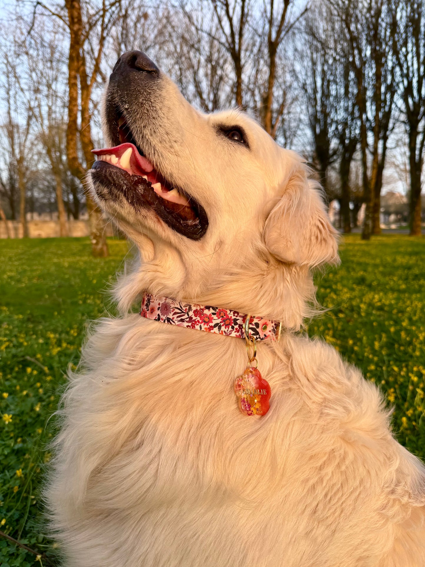 Collier CHARLIE